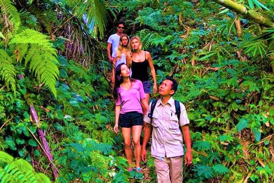 Trekking in Andaman Islands