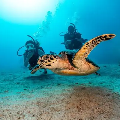 Havelock Island