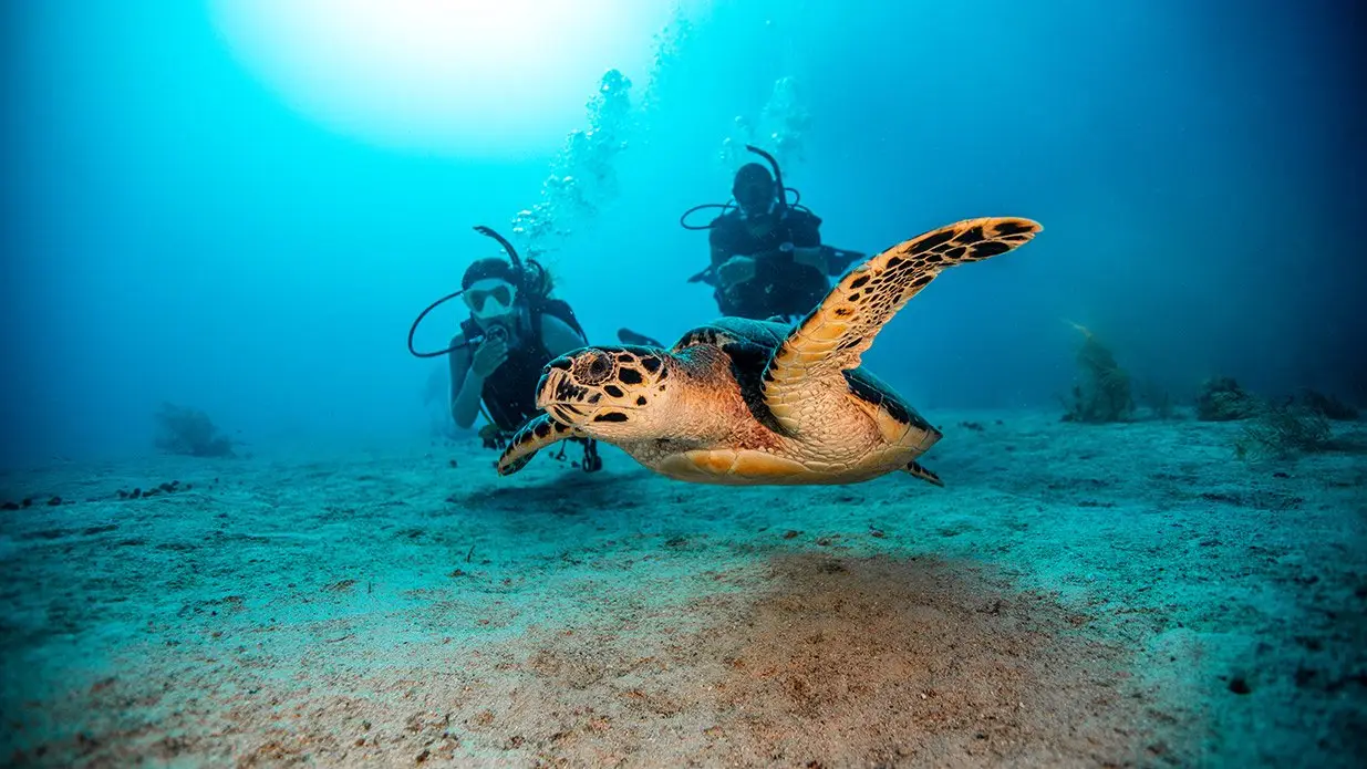 Havelock Island
