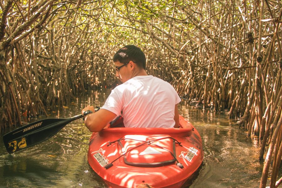 Kayaking in Andaman Islands