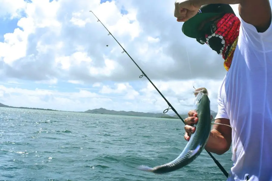 Game Fishing